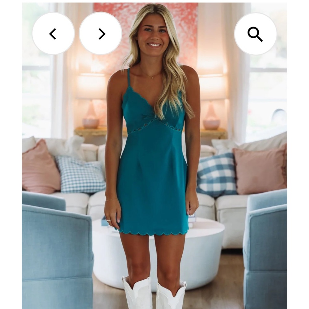 NWT Hazel and Olive mini dress